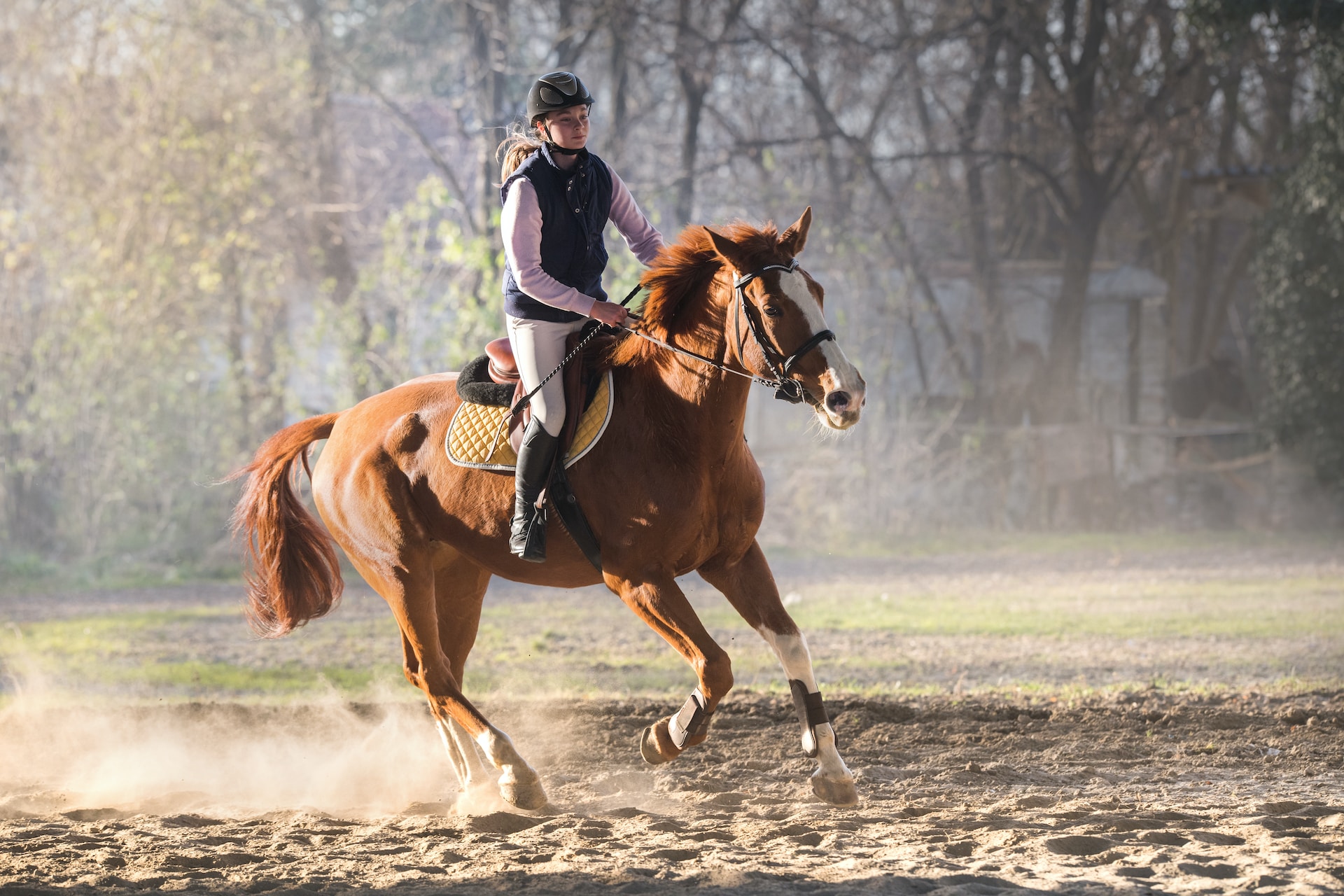 Une enfant sur un cheval dans un champ.
