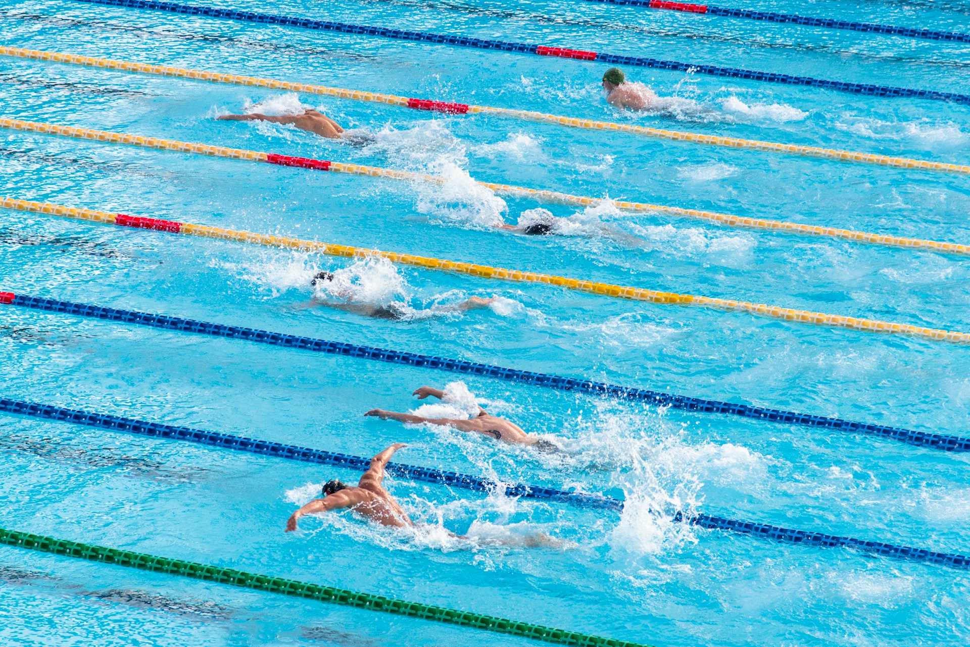 Des compétiteurs en natation lors d'une compétition.
