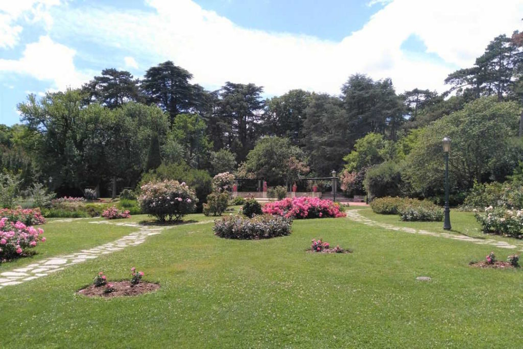 Un pelouse avec des arbres par un temps ensoleillé.